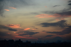 江戸川夕景２