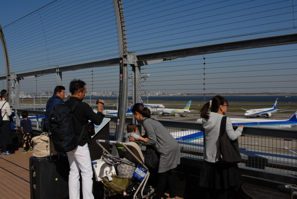 いっぱいいるね