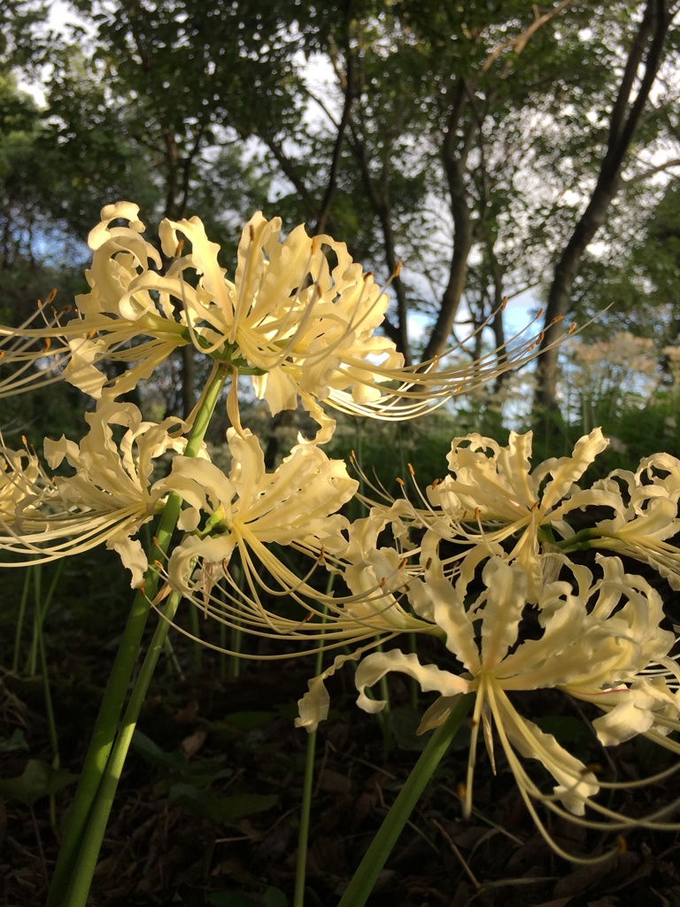 ひっそりと、大胆に。