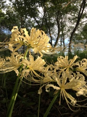 ひっそりと、大胆に。