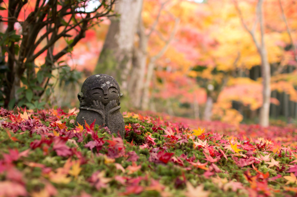 京都の秋2014