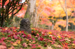 京都の秋2014