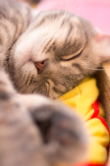 ZZZ