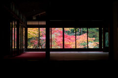 京都の秋2014