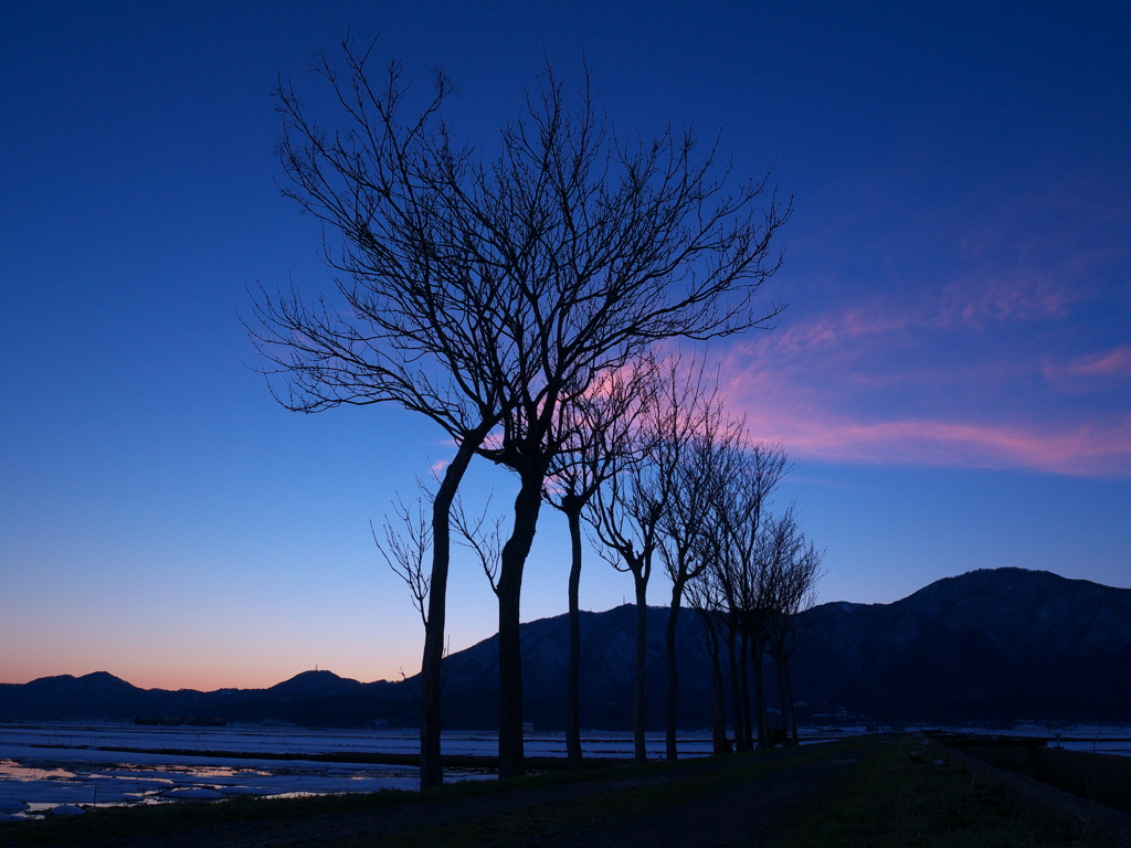 ブルーアワー②