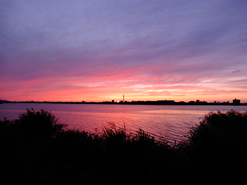 鳥屋野潟(新潟県)の夕暮れ