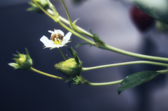 P4300258_5