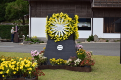 仙巌園　菊まつり③