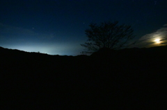 夜光