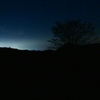 夜光