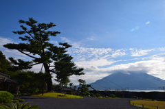 松と桜島