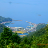 港