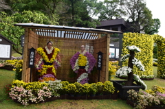 仙巌園　菊まつり②