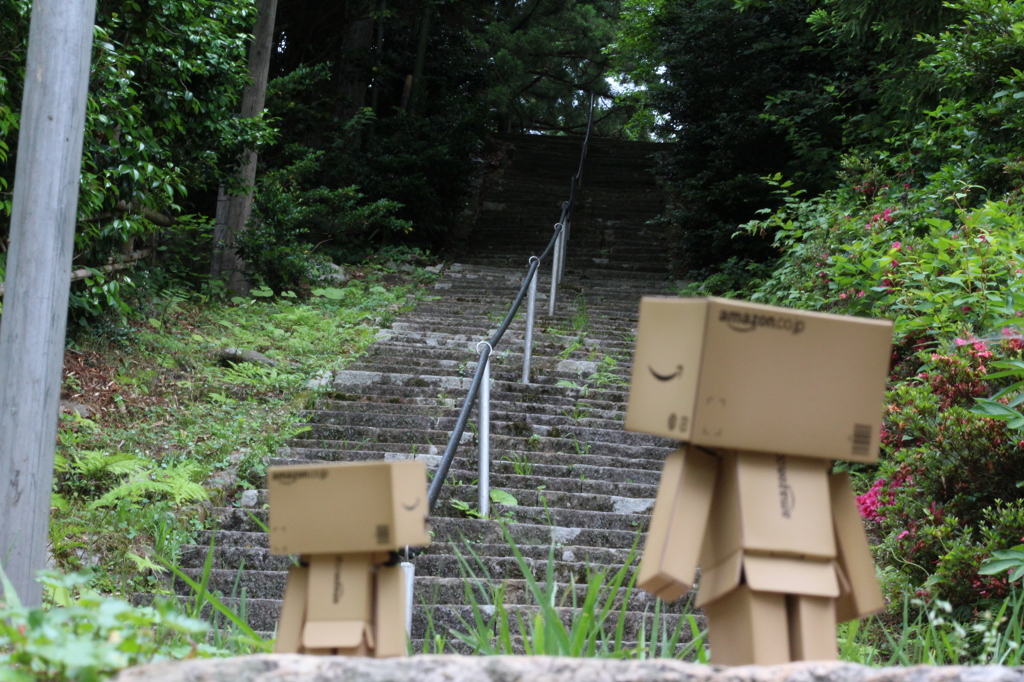 驚き