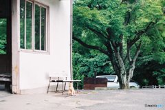 時間が止まる瞬間