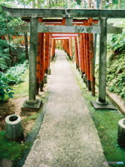 神聖な道