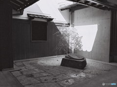 光の交差②