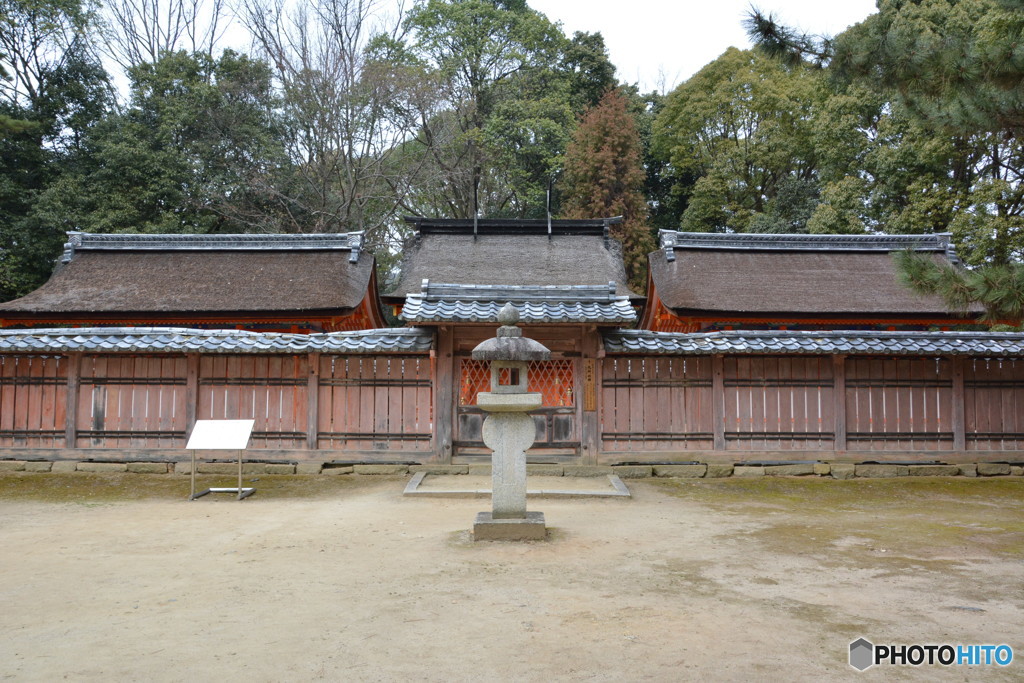DS7_4987