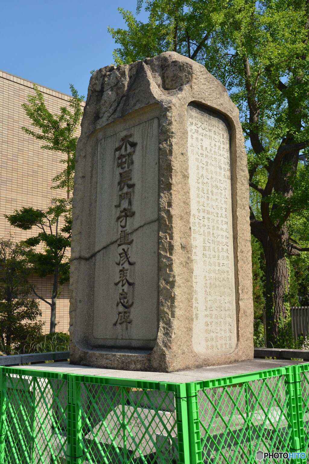 DC8_8645