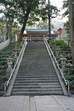 DS7_9757