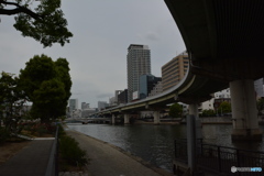 DS7_5451
