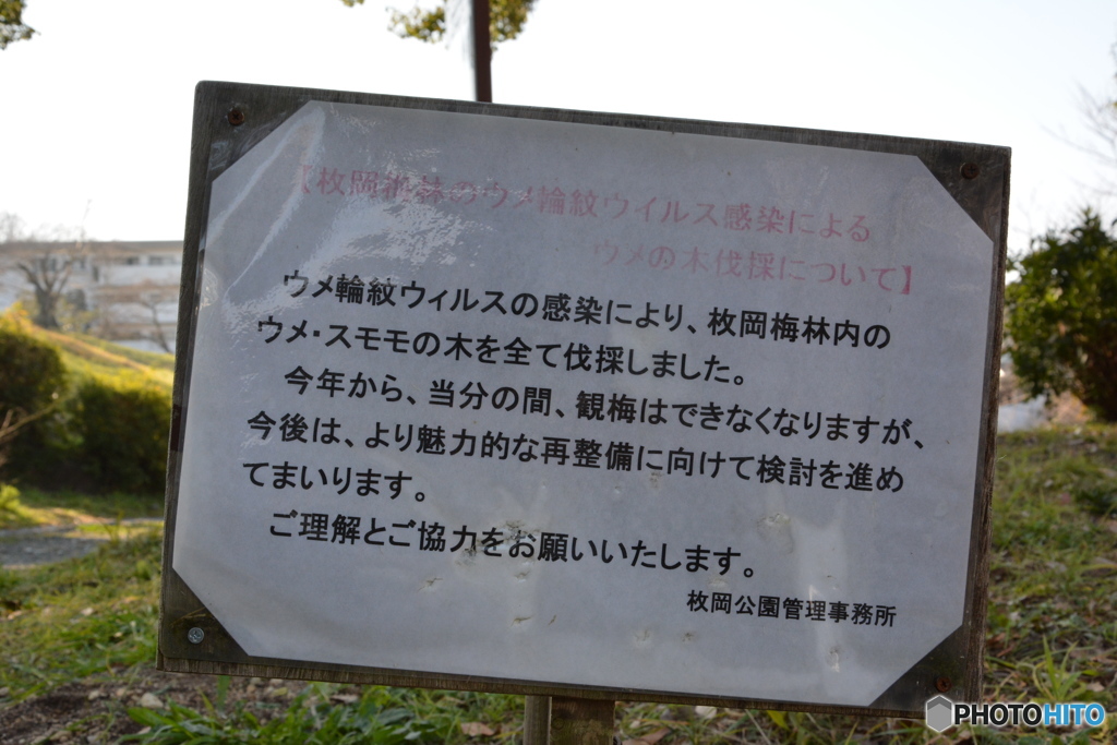 DS7_9773