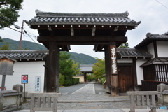 DS7_6144