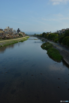 DS7_6127