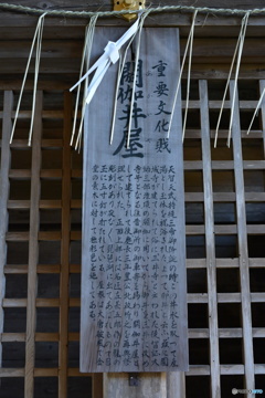 DS7_7638
