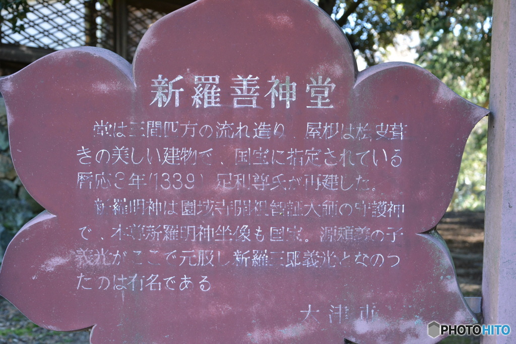 DS7_7670