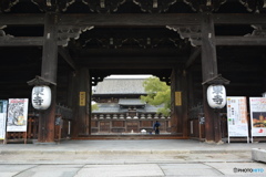 DS7_6906