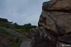 DS7_6115