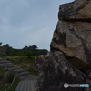 DS7_6115