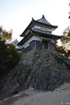 DS7_4029