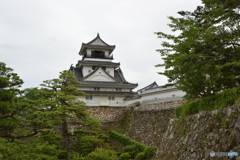 DS7_8420