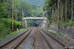 DS7_6172