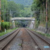 DS7_6172
