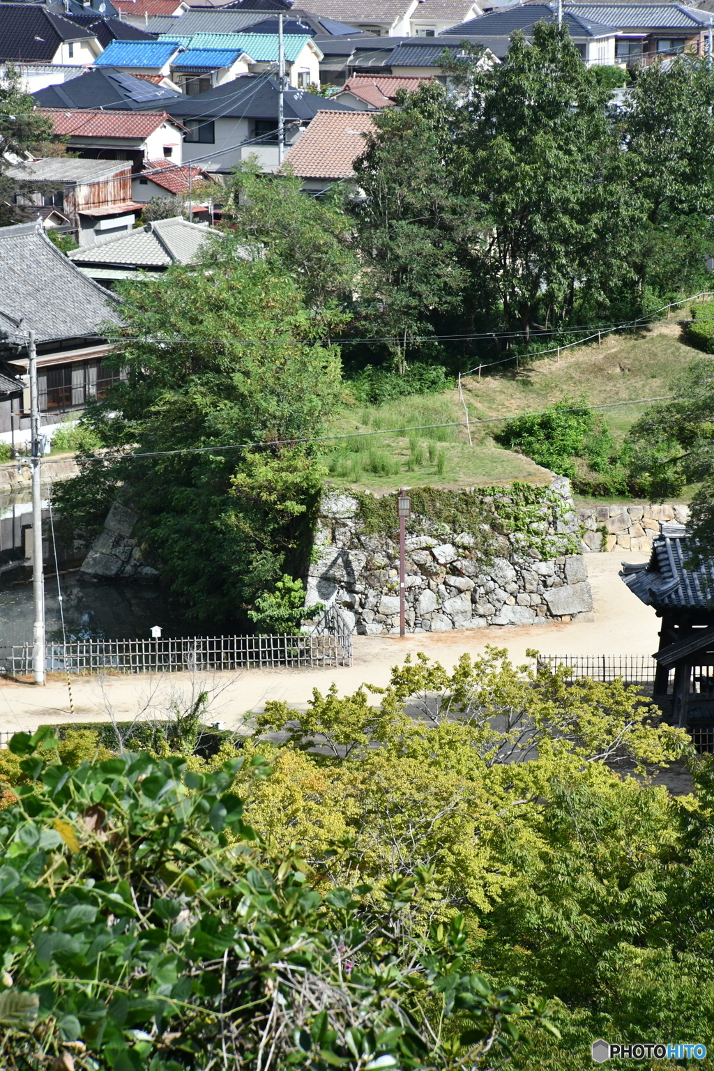 DSA_2429