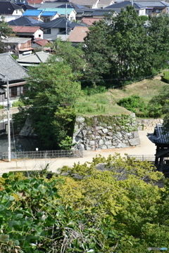 DSA_2429
