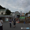 DS7_3833