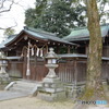 DS7_4839