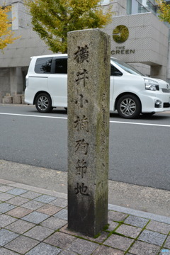 DS7_6988
