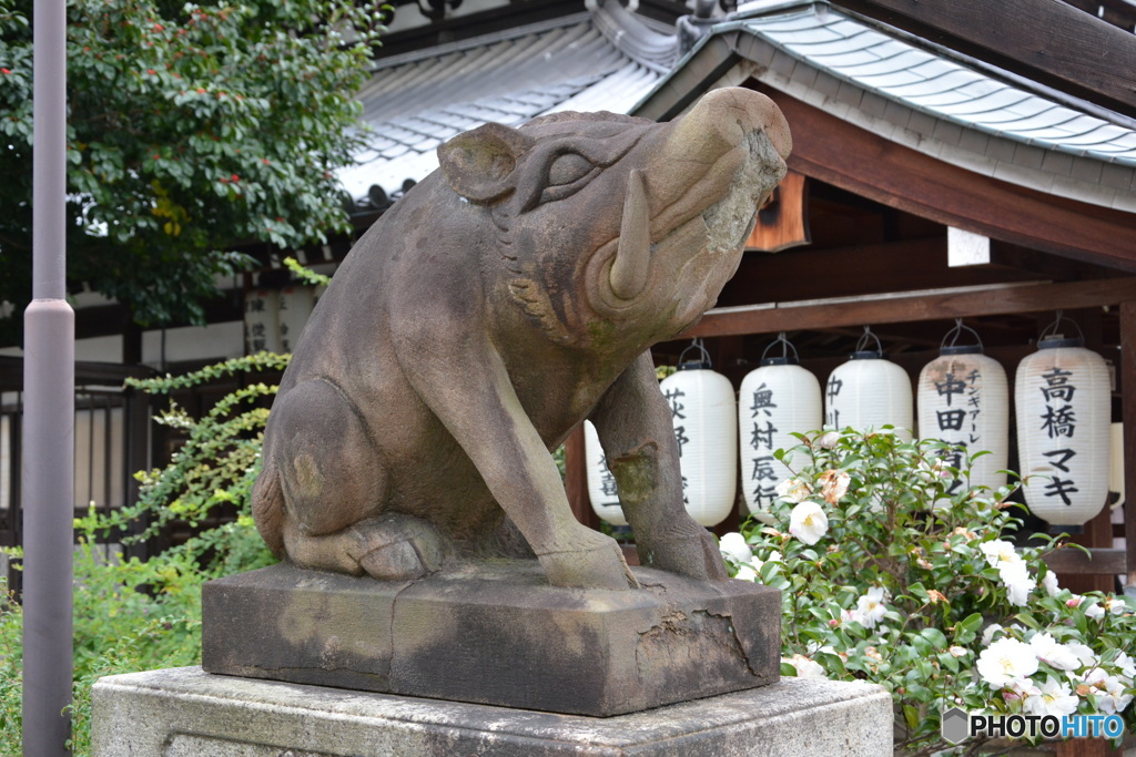 DS7_7002