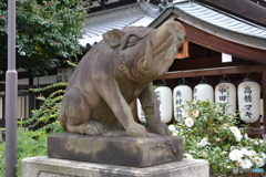 DS7_7002