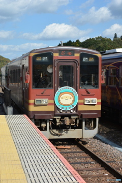 DC8_4110