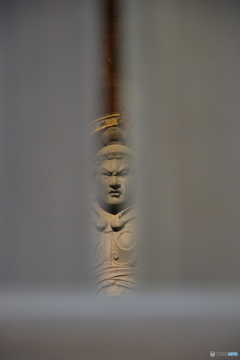 DS7_7650