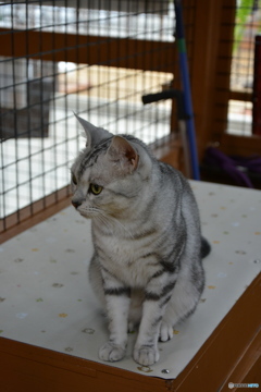 DS7_3355