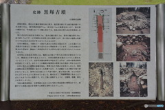 DC8_5291