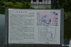 DC8_5257