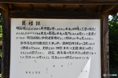 DSA_2570